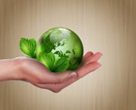 Wellness for All